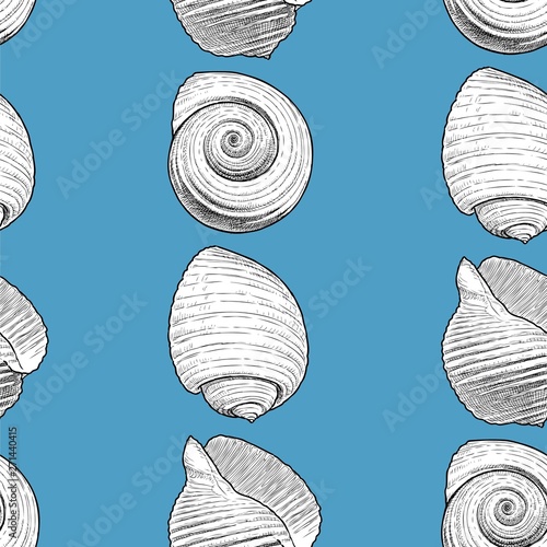 Seamless pattern of various drawn seashells