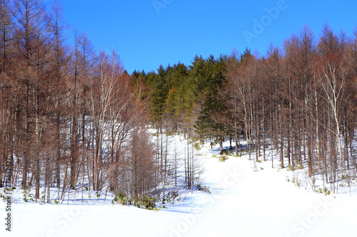 スキーリゾート 冬景色