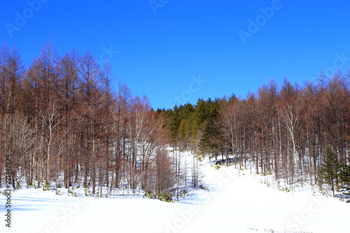 スキーリゾート　冬景色 © takadahirohito