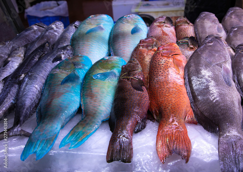 Colorful fishes in the fish market, Mecca province, Jeddah, Saudi Arabia photo