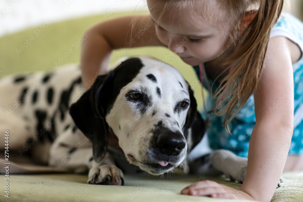 Little cheerful girl hugging a Dalmatian dog Little cheerful girl hugging a Dalmatian dog