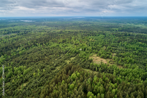 Aerial photography from the drone. Landscape with green forest © Vitalii Makarov