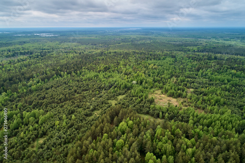 Aerial photography from the drone. Landscape with green forest