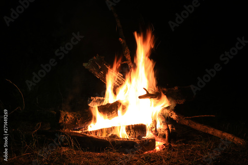 campfire in night