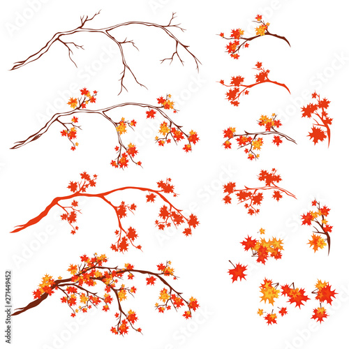 autumn season maple tree branches - bright fall season vector design set