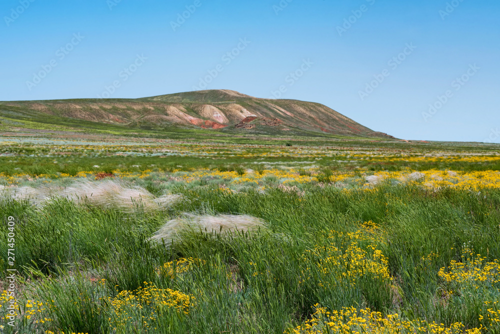 Amazing distant landscape of mountain Big Bogdo and blooming steppe against sky. Russia Amazing distant landscape of mountain Big Bogdo and blooming steppe against sky. Russia
