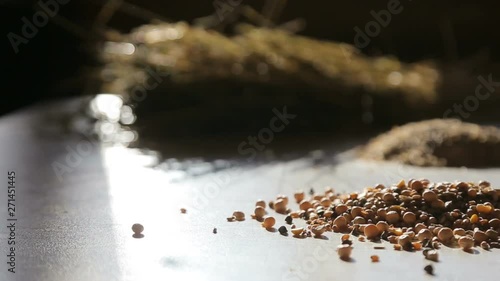 organic and natural long-term farming animal feed