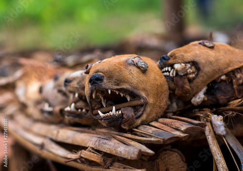Benin, West Africa, Bonhicon, dogs heads sold on a voodoo market photo