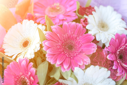 Floral background  pink flowers  toned