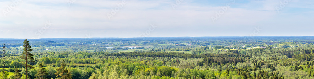 Panorama landscape view of a woodlands in summer Panorama landscape view of a woodlands in summer