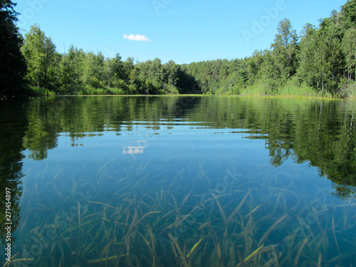 Fototapeta Naklejka Na Ścianę i Meble -  Summer idyllic landscape with lake and sky. Bright quiet day and calm water surface on silent backwater. Harmony and pacification of nature - a beautiful view for wallpaper.