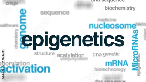 Epigenetics animated word cloud. Kinetic typography.