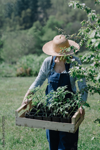 femme avec chapeau à la campagne au potager 