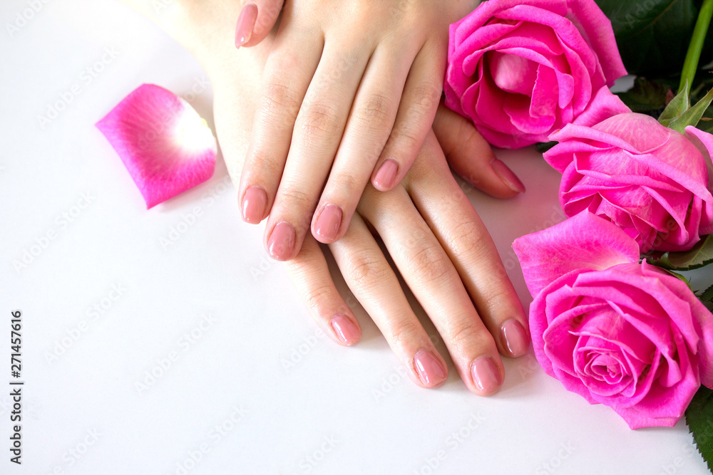 Fototapeta premium Beautiful manicured woman's nails with pink polish isolated. Nails care. Manicure, pedicure beauty salon. Beautiful rose red blossoms. Free space for your text.