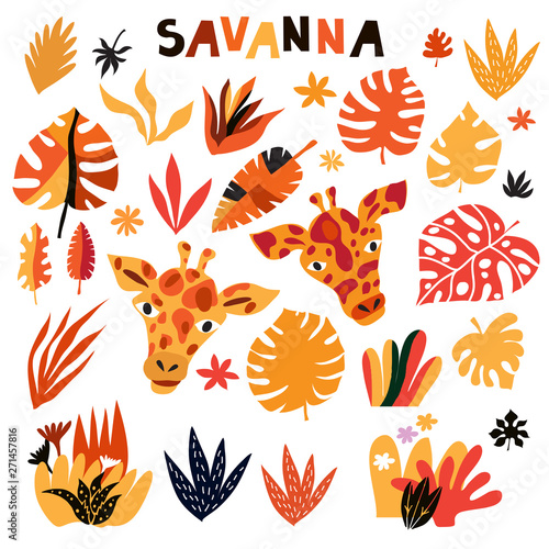 Savanna set 1