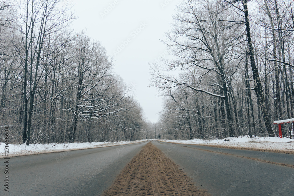 landscape of cold beautiful winter in the forest