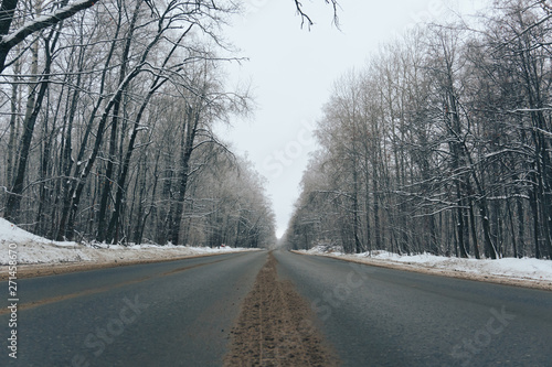 landscape of cold beautiful winter in the forest © ShevarevAlex