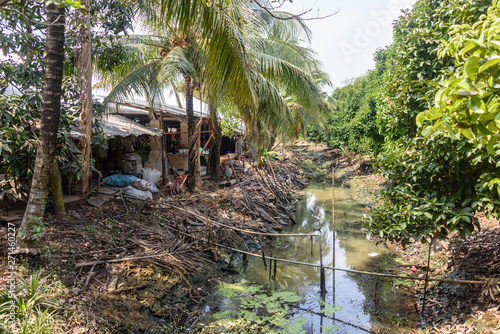 Irrigation stream running at the edge of a jungle village, Meekong Delta, Vietnam photo