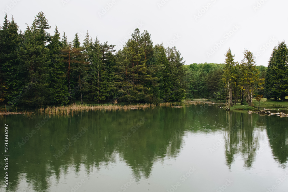 Beautiful forest in a small lake in Opakua, Basque Country, Spain Beautiful forest in a small lake in Opakua, Basque Country, Spain
