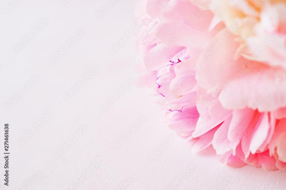 Blurred delicate petals of a pink peony. Unfocused abstract floral background Blurred delicate petals of a pink peony. Unfocused abstract floral background