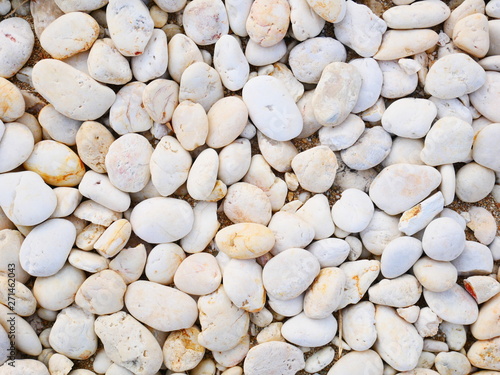 white pebbles stone background , smooth stone texture photo