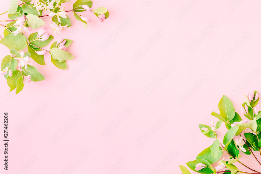 Flat lay composition with branches and green leaves on a pink background