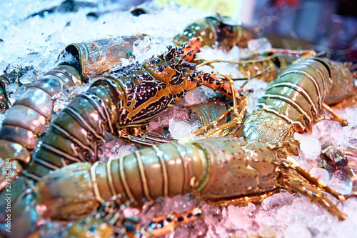 Fresh lobsters on ice.