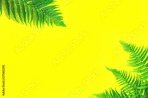 fern leaves on vibrant trendy glowing yellow background. Top view with copy space. Ecological bright summer flat lay background.