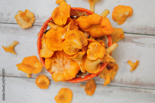 Forest Orange mushrooms chanterelles in a wicker basket and scattering on a white wooden table. Close up. View from the top