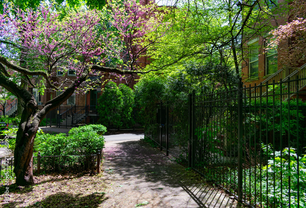 Beautiful Sidewalk Scene next to Homes in Wicker Park Chicago Beautiful Sidewalk Scene next to Homes in Wicker Park Chicago