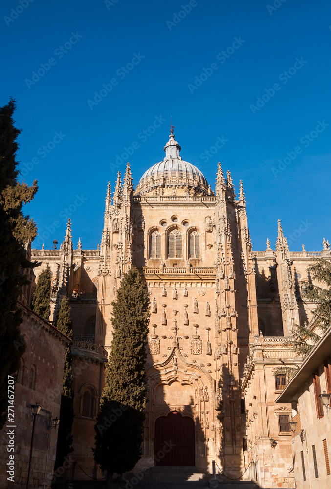 Catedral de Salamanca con cielo despejado