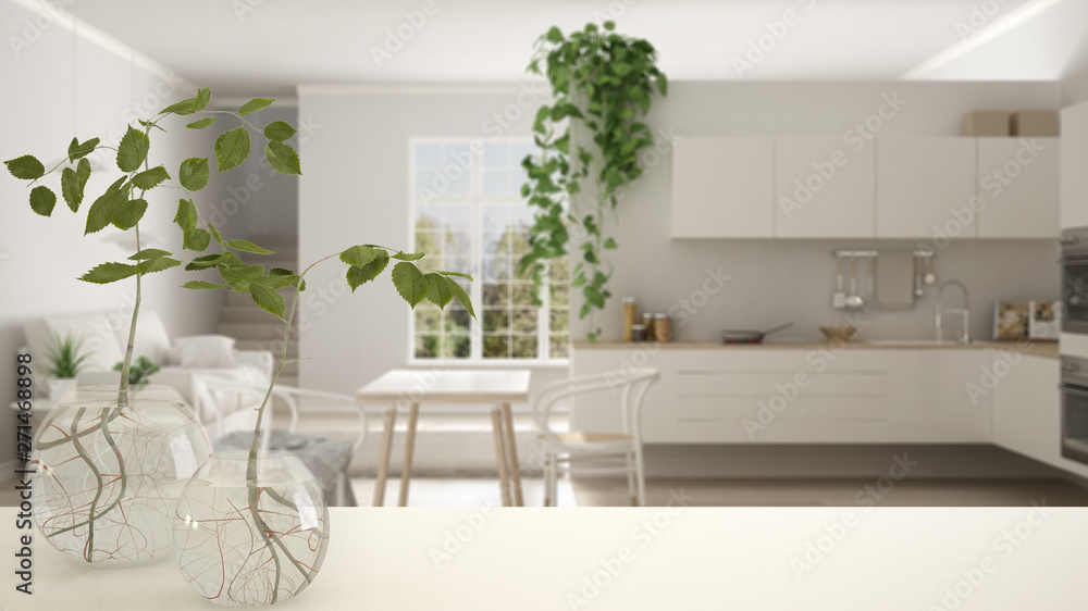 White table top or shelf with glass vase with hydroponic plant, ornament, root of plant in water, branch in vase, house plant, modern blurred kitchen in the background, interior design White table top or shelf with glass vase with hydroponic plant, ornament, root of plant in water, branch in vase, house plant, modern blurred kitchen in the background, interior design