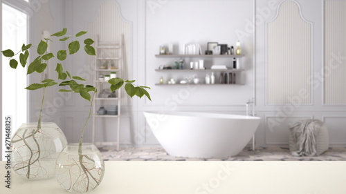 White table top or shelf with glass vase with hydroponic plant  ornament  root of plant in water  branch in vase  house plant  modern blurred bathroom background  interior design
