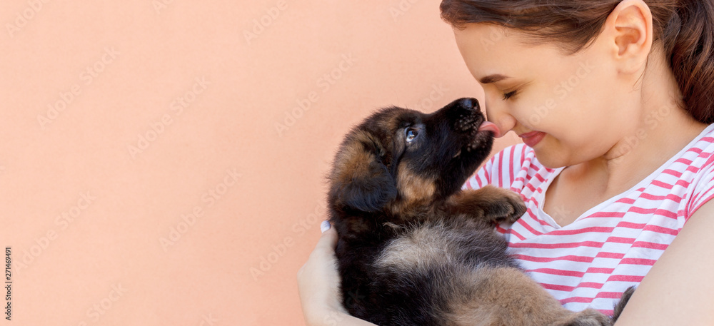 Fototapeta cute German shepherd puppy kissing woman's nose