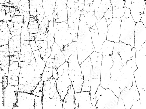Vector crack texture. Grunge crash scratch. Isolated broken old damage rust. Overlay noise and grain dry texture.