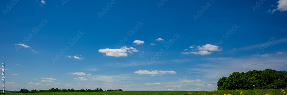 Obraz premium white clouds against the sky and deciduous forest on a sunny day.