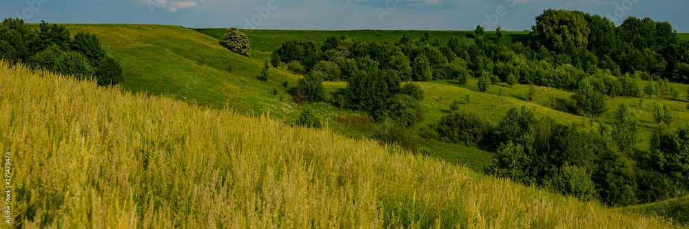 Hills covered with spring green grass and plants.