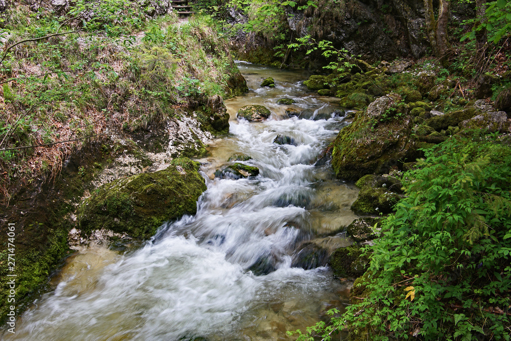 Bachlandschaft entlang der Holzsteige in der Wasserlochklamm - Steiermark