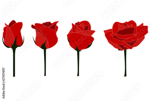 Rosas