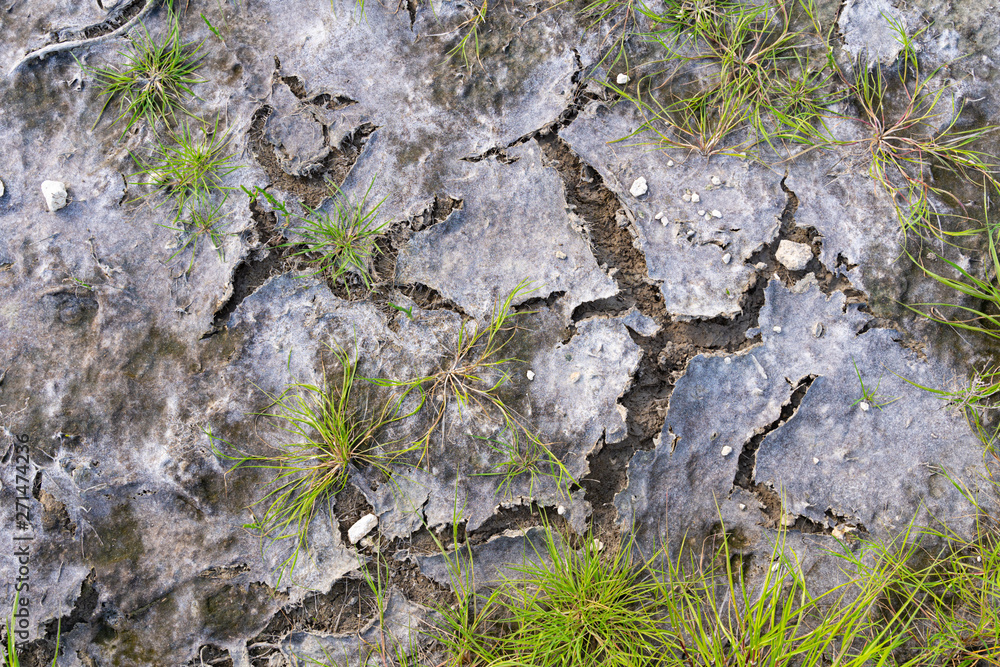 Dry salt lake wetland shoreline textured background