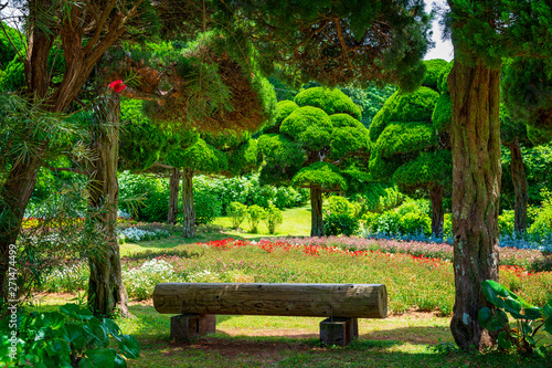 Fototapeta Naklejka Na Ścianę i Meble -  Beautiful japanese park with bench.