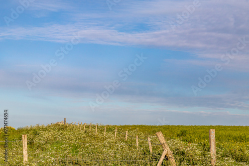 The Sussex countryside with a blue sky overhead