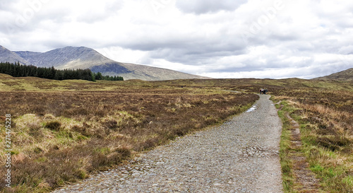 West Hiland Way Track, landscape between Bridge of Orchy and Kingshouse, long distance hike - Scotland, UK photo