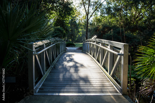 Fototapeta Naklejka Na Ścianę i Meble -  Wooden bridge running through a garden