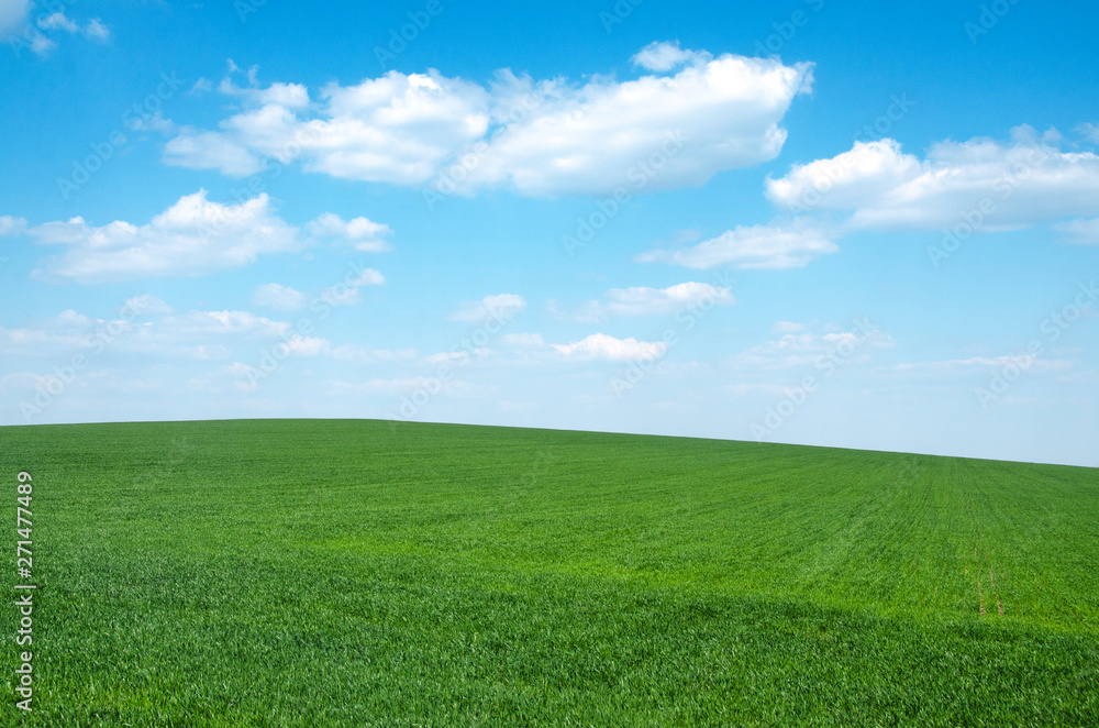 green field with blue sky and clouds