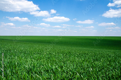 green field with blue sky and clouds