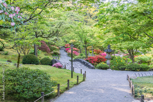 Colorful Garden Path 4