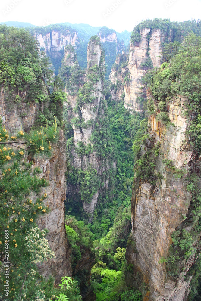 Avatar National Park in China