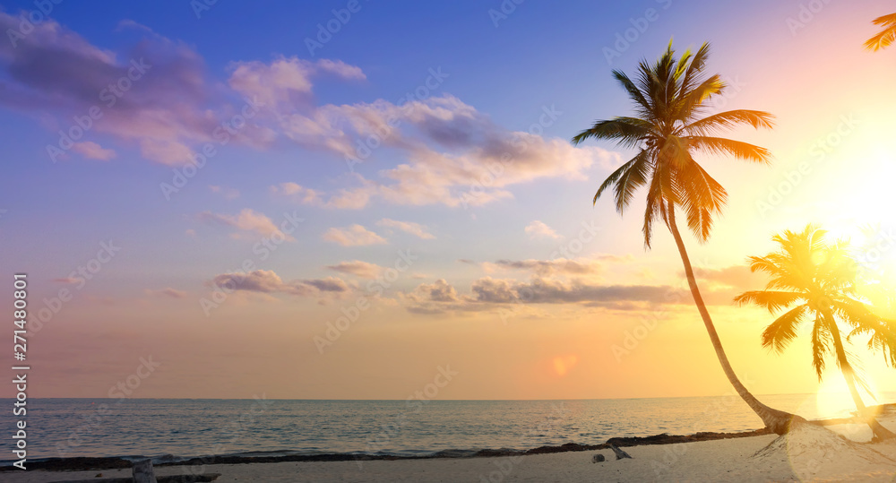 Art summer  vacation background; Palm tree on a tropical beach sunset