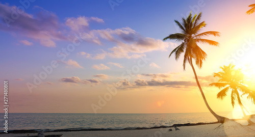 Art summer  vacation background  Palm tree on a tropical beach sunset